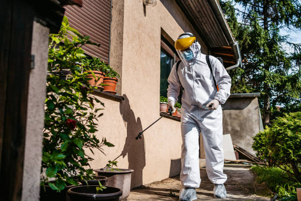 Best Mosquito Control Services  in Yorba Linda, CA